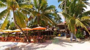 Best Rates At The Alona Vida Beach Resort In Alona Beach Panglao Bohol 003
