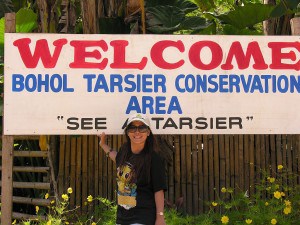 bohol tarsier