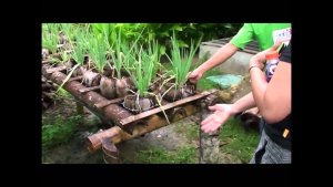 WOW! Most Amazing Organic Farming Technique In Bohol Agriculture Technology 001