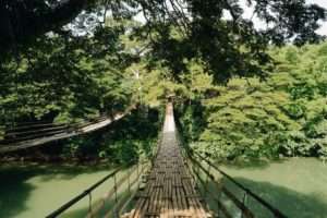 Crossing the breathtaking tigbao hanging bridge Bohol philippines 0001